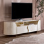 Raqiya TV Unit-furniture-livingroom-tvandmediaunits-image-1