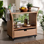 Darius Serving Trolley-furniture-diningroom-servingtrolleys-image-6