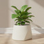 إناء زرع سيراميك - سالبي - 18 سم-binpromo_KSA_Alrajhi_17062026-image-4