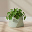 Salbe Sliced Ceramic Planter - 18 cm-household-gardenandoutdoor-potsandplanters-planters-image-1