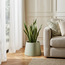 Salbe Sliced Ceramic Planter - 18 cm-household-gardenandoutdoor-potsandplanters-planters-image-4