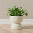 وعاء نبات سيراميك مزدوج - سالبي - 15 سم-household-gardenandoutdoor-potsandplanters-planters-image-4
