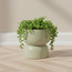 Salbe Double Ceramic Planter - 25 cm-household-gardenandoutdoor-potsandplanters-planters-image-1