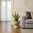 Salbe Double Ceramic Planter - 25 cm-household-gardenandoutdoor-potsandplanters-planters-image-4