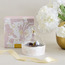 Raqiya Porcelain Date Saucer with Lid - 12.5 cm-household-giftingaccessories-giftings-image-5