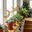 Crescent Outdoor Metal Garden Stake-household-gardenandoutdoor-trellisandstands-trellis-image-3