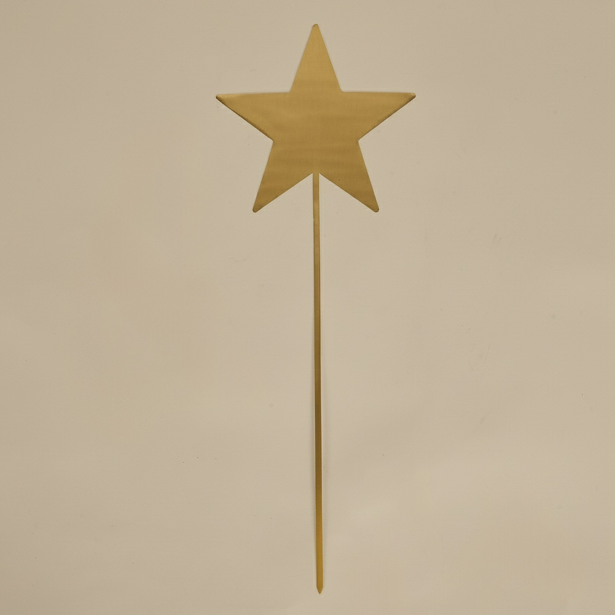 Star Outdoor Metal Garden Stake