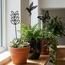 وتد حديقة معدني خارجي بتصميم أوراق-household-gardenandoutdoor-trellisandstands-trellis-image-1