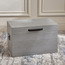 Rory Storage Trunk - Medium-household-storage-storagesolutions-trunks-image-1
