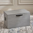 صندوق تخزين - روري - صغير-household-storage-storagesolutions-trunks-image-6