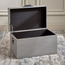 صندوق تخزين - روري - صغير-household-storage-storagesolutions-trunks-image-5