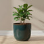 Glint Glaze Planter - 25 cm-PROMO_HC_SA_TESTBINPROMO_080926-image-1