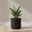 Trivial Planter - 15 cm-household-gardenandoutdoor-potsandplanters-planters-image-1