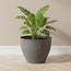 وعاء زرع - سيفير - 24 سم-household-gardenandoutdoor-potsandplanters-planters-image-4