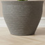 وعاء زرع - سيفير - 24 سم-household-gardenandoutdoor-potsandplanters-planters-image-2