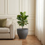 وعاء زرع - سيفير - 24 سم-household-gardenandoutdoor-potsandplanters-planters-image-1
