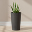Balata Planter - 55 cm-household-gardenandoutdoor-potsandplanters-planters-image-1