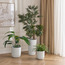 إناء زرع - توبرروز - 27 سم-binpromo_KSA_SNB_15092026-image-1
