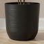 Tuberose Planter - 27 cm-PROMO_HC_SA_TESTBINPROMO_080926-image-3