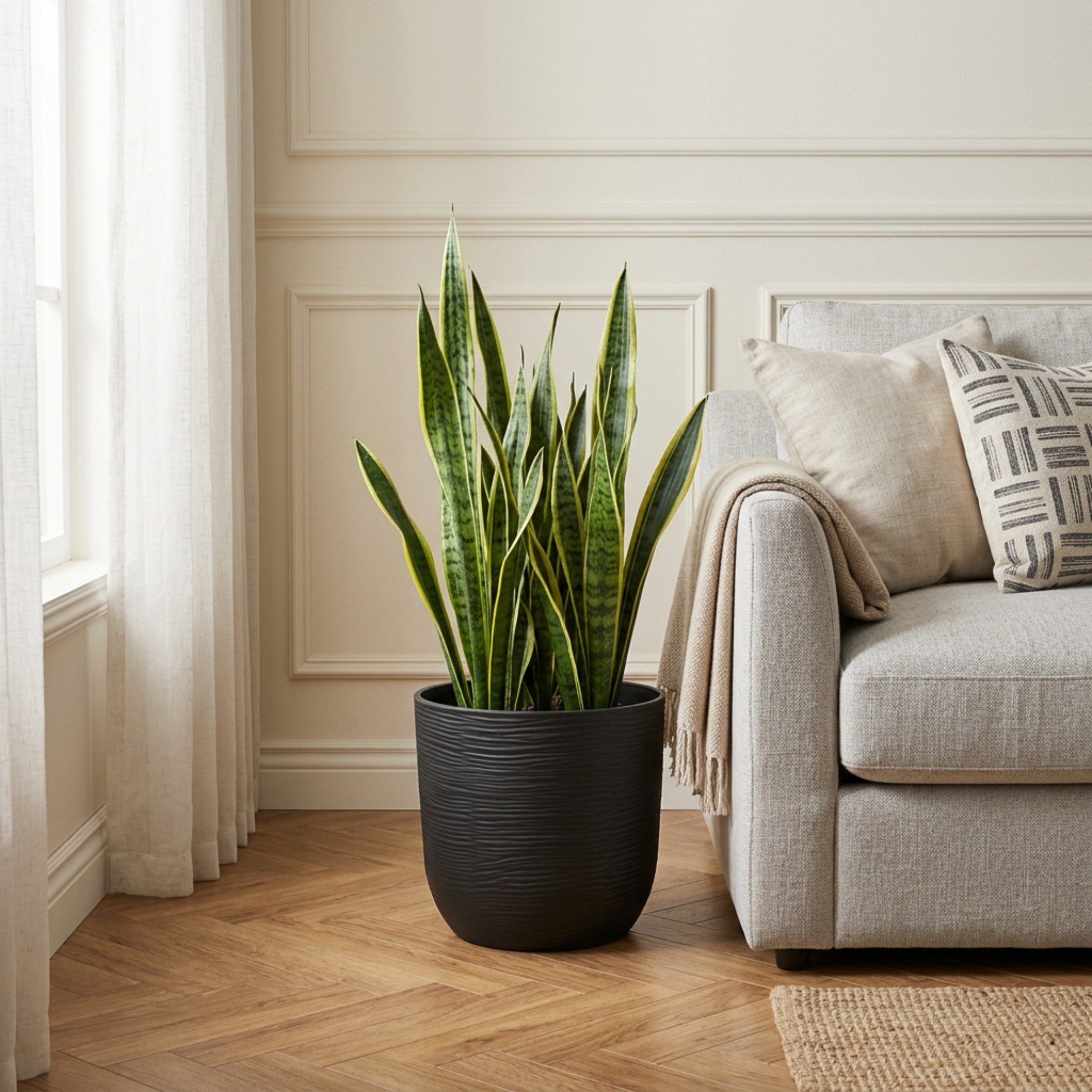 Tuberose Planter - 27 cm-household-gardenandoutdoor-potsandplanters-planters-image-4