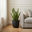 Tuberose Planter - 27 cm-PROMO_HC_SA_TESTBINPROMO_080926-image-4