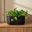 Oleander Planter - 13 cm-household-gardenandoutdoor-potsandplanters-planters-image-1
