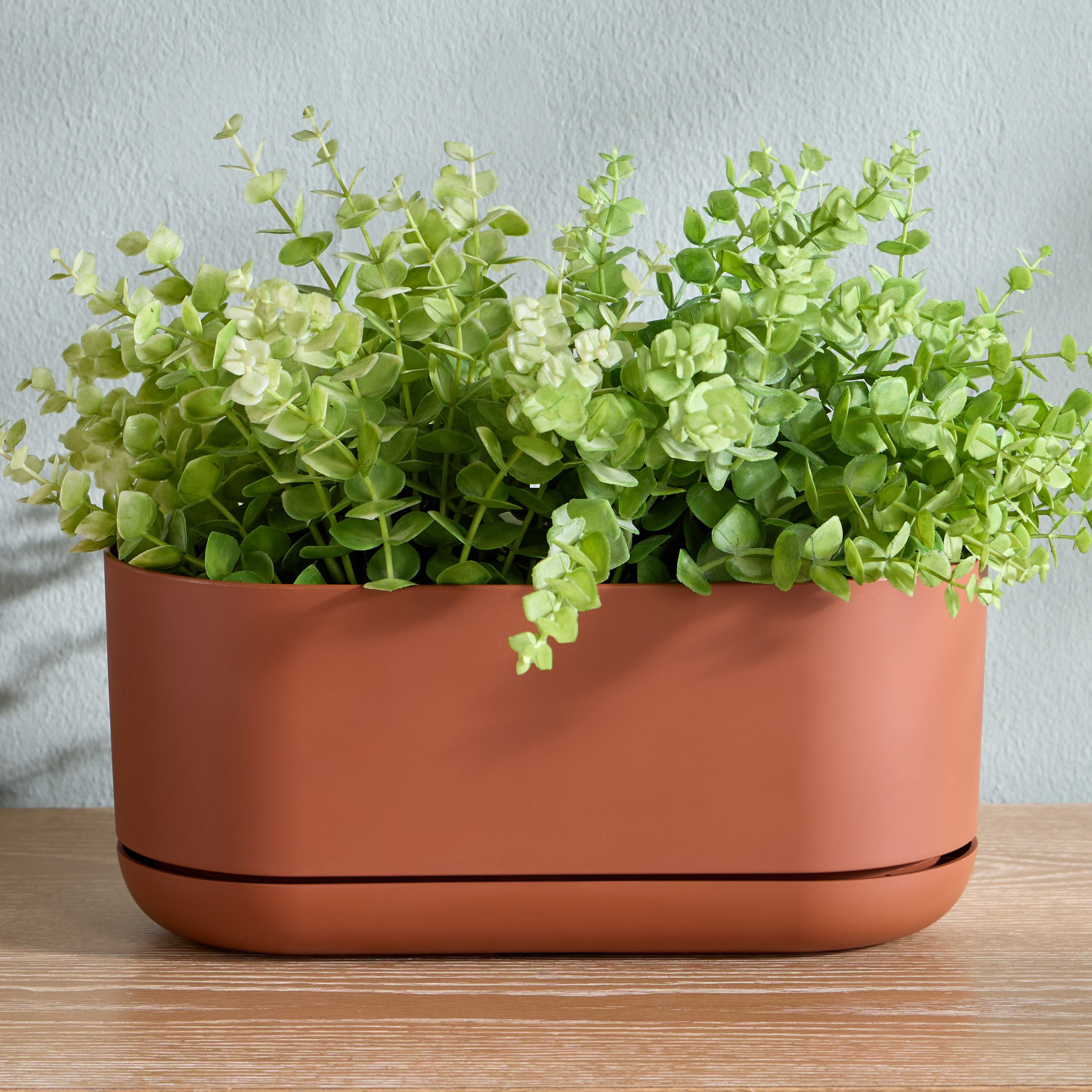 Oleander Planter - 13 cm-household-gardenandoutdoor-potsandplanters-planters-image-1
