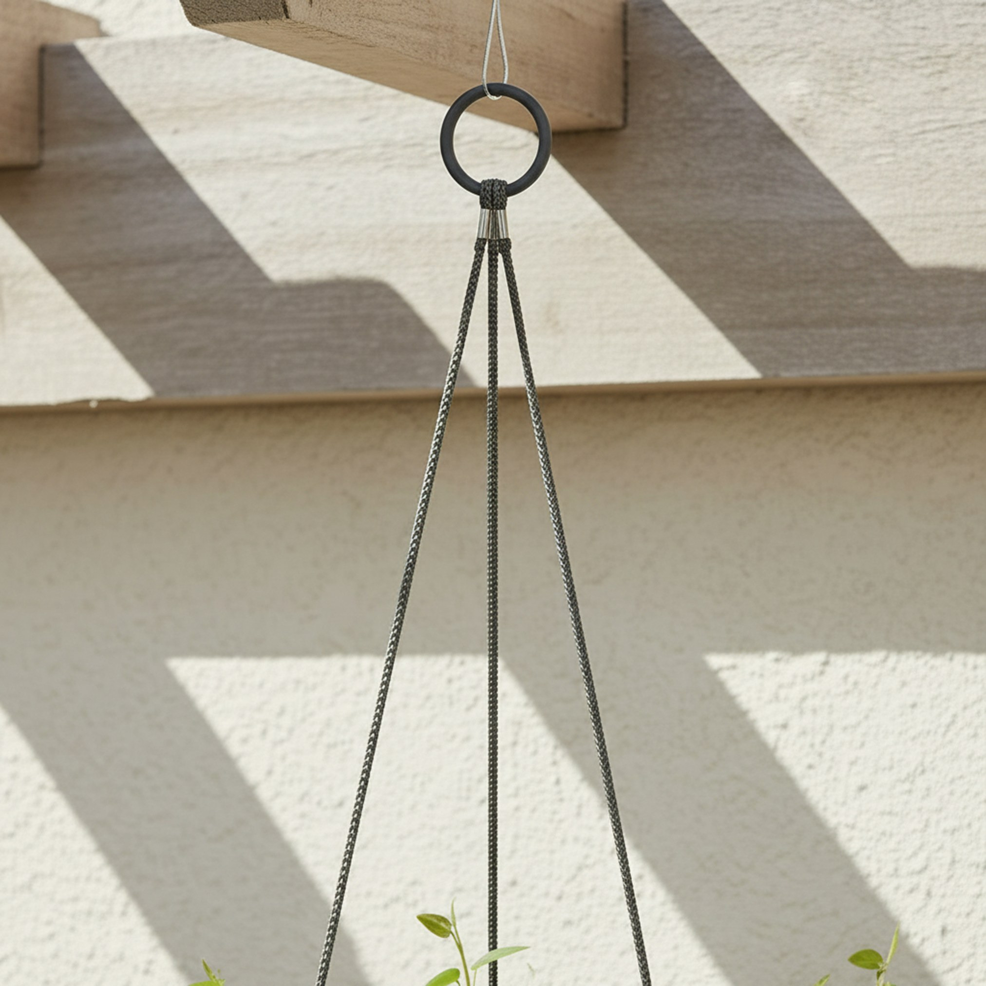 Oxalis Hanging Planter - 11 cm-household-gardenandoutdoor-potsandplanters-hangingplanters-image-3