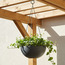 إناء زرع معلق - أوكسالس - 11 سم-household-gardenandoutdoor-potsandplanters-hangingplanters-image-4