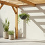 إناء زرع معلق - أوكسالس - 11 سم-household-gardenandoutdoor-potsandplanters-hangingplanters-image-1