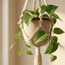 Cecil Hanging Bag for Planter - 93 cm-household-gardenandoutdoor-potsandplanters-hangingplanters-image-2