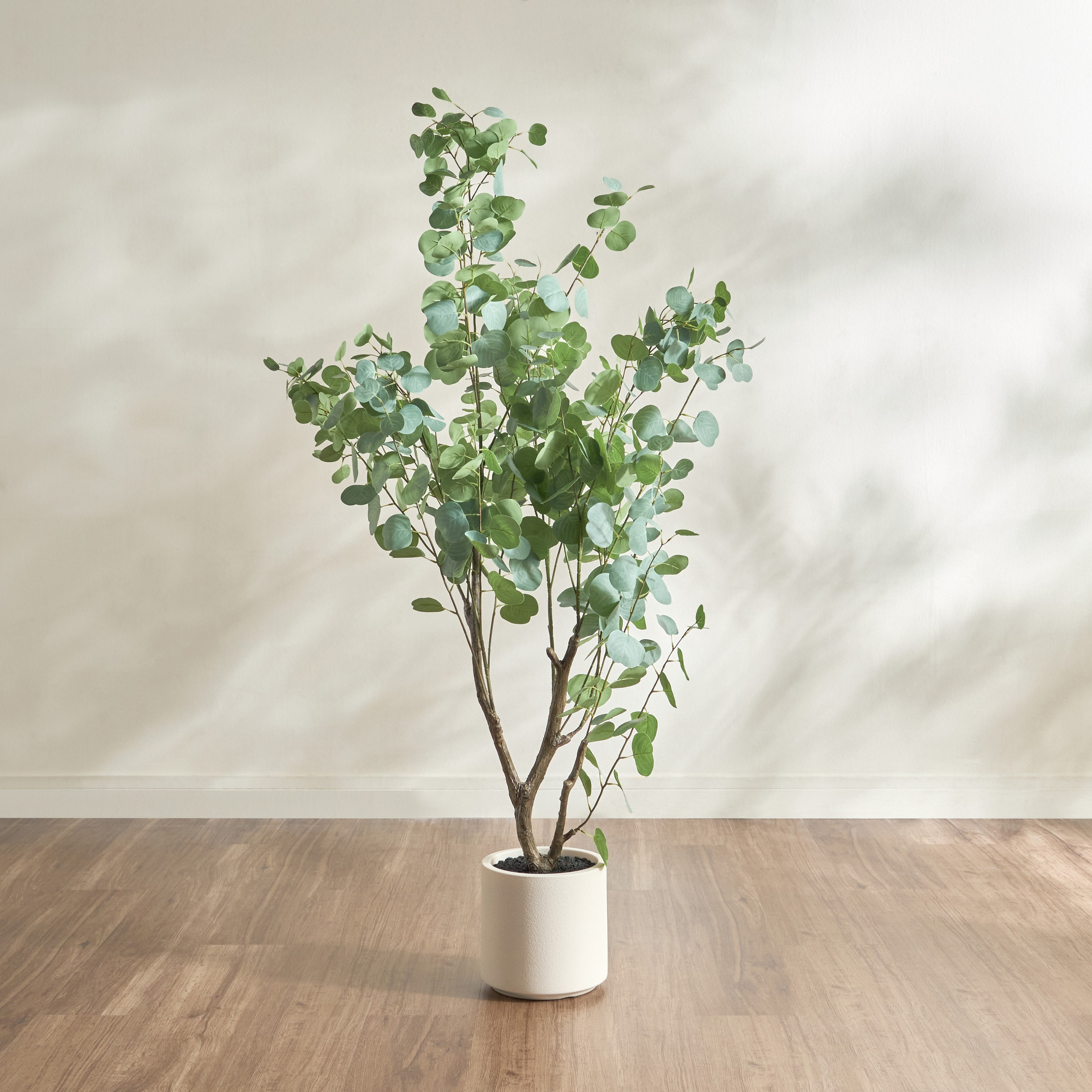 Eucalyptus Tree - 166 cm-household-gardenandoutdoor-trees-image-1