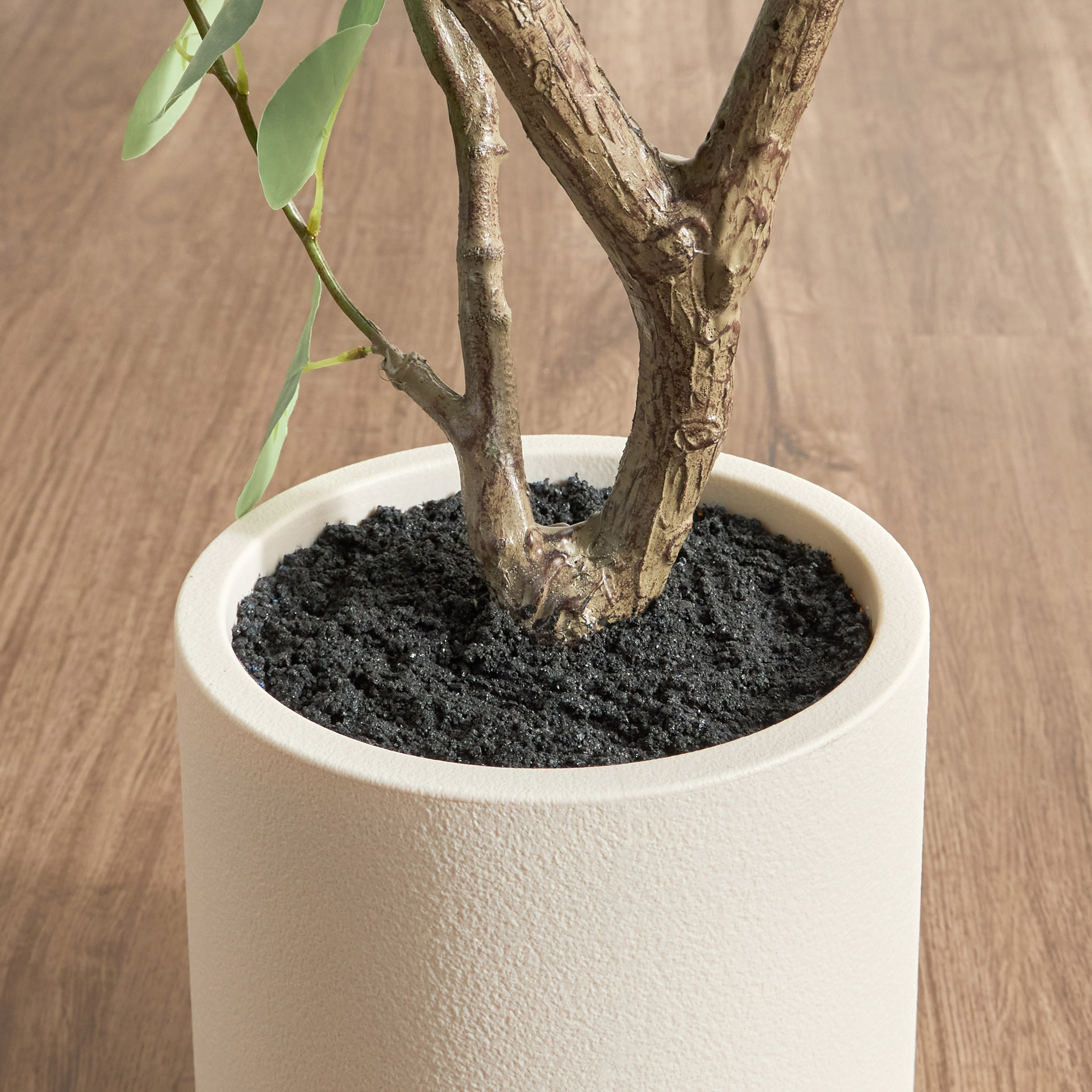 Eucalyptus Tree - 166 cm-household-gardenandoutdoor-trees-image-3