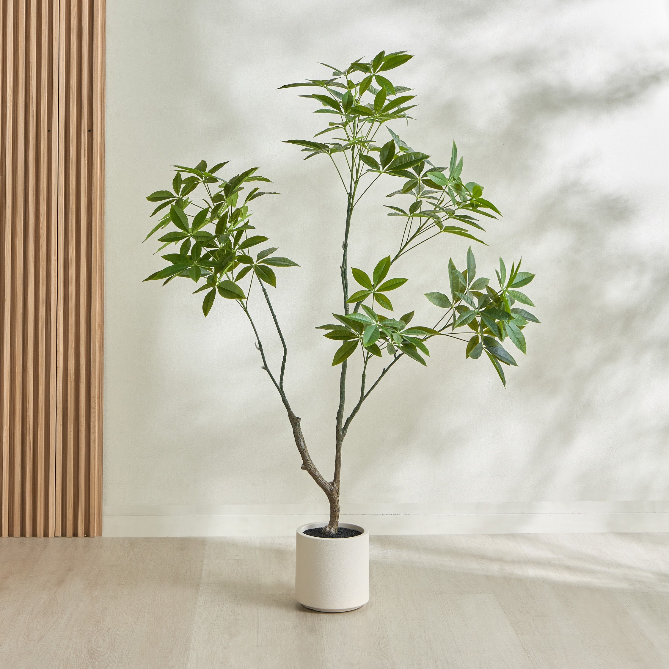 شجرة الحظ - 165 سم-household-gardenandoutdoor-trees-image-1