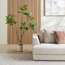 شجرة الحظ - 165 سم-household-gardenandoutdoor-trees-image-1