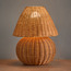 Renee Rattan Table Lamp - 35 cm-household-lighting-tableanddesklamps-image-2