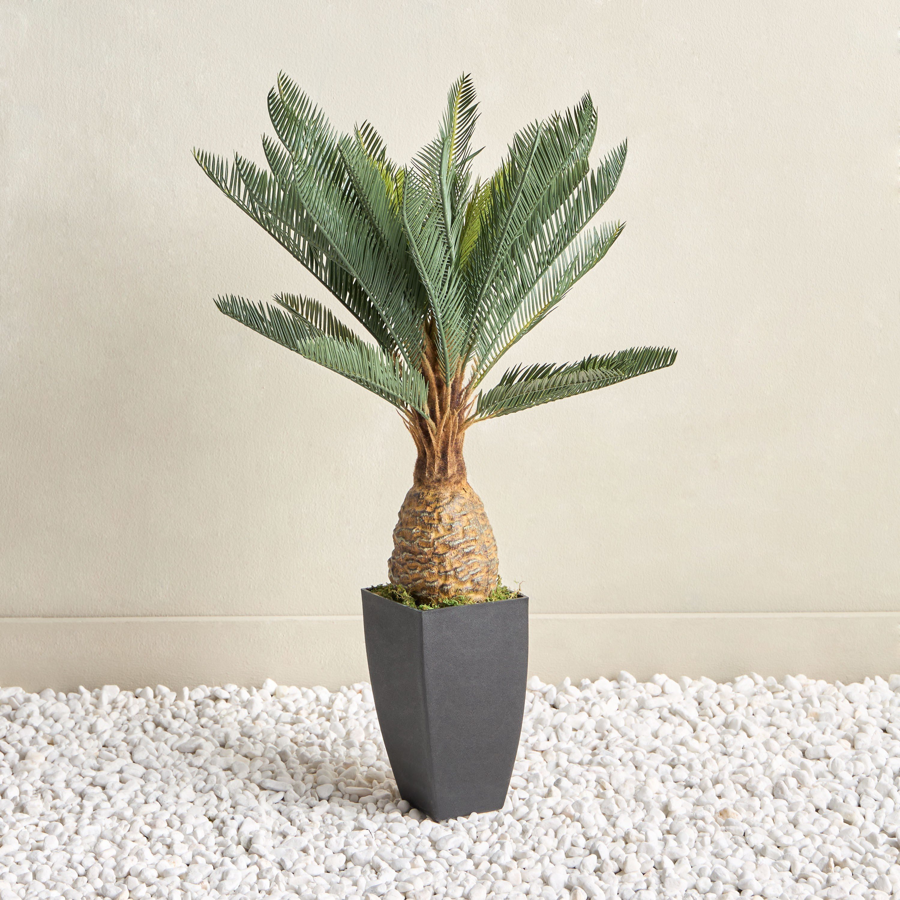 Cycus Tree - 78 cm-household-gardenandoutdoor-trees-image-1