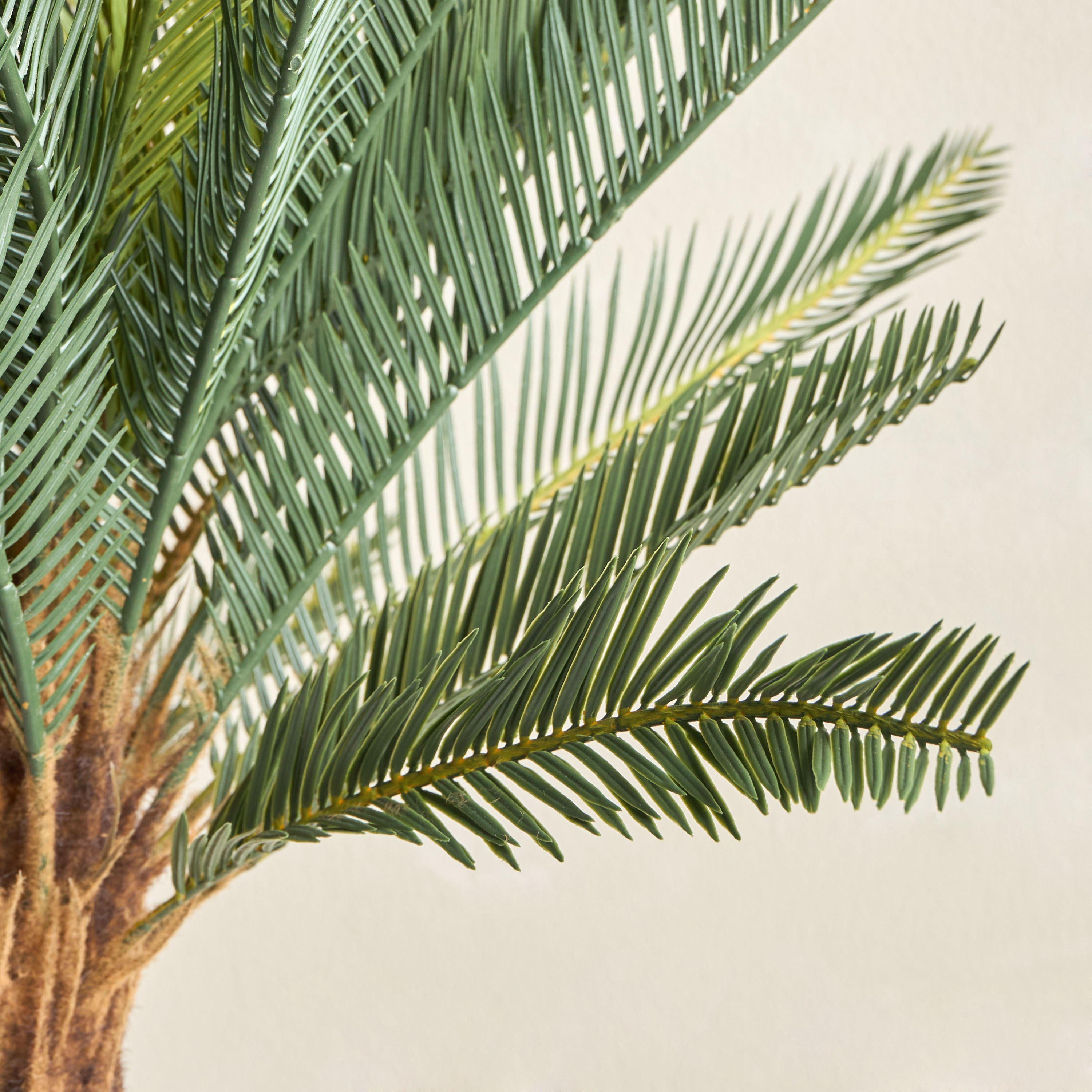 Cycus Tree - 78 cm-household-gardenandoutdoor-trees-image-2
