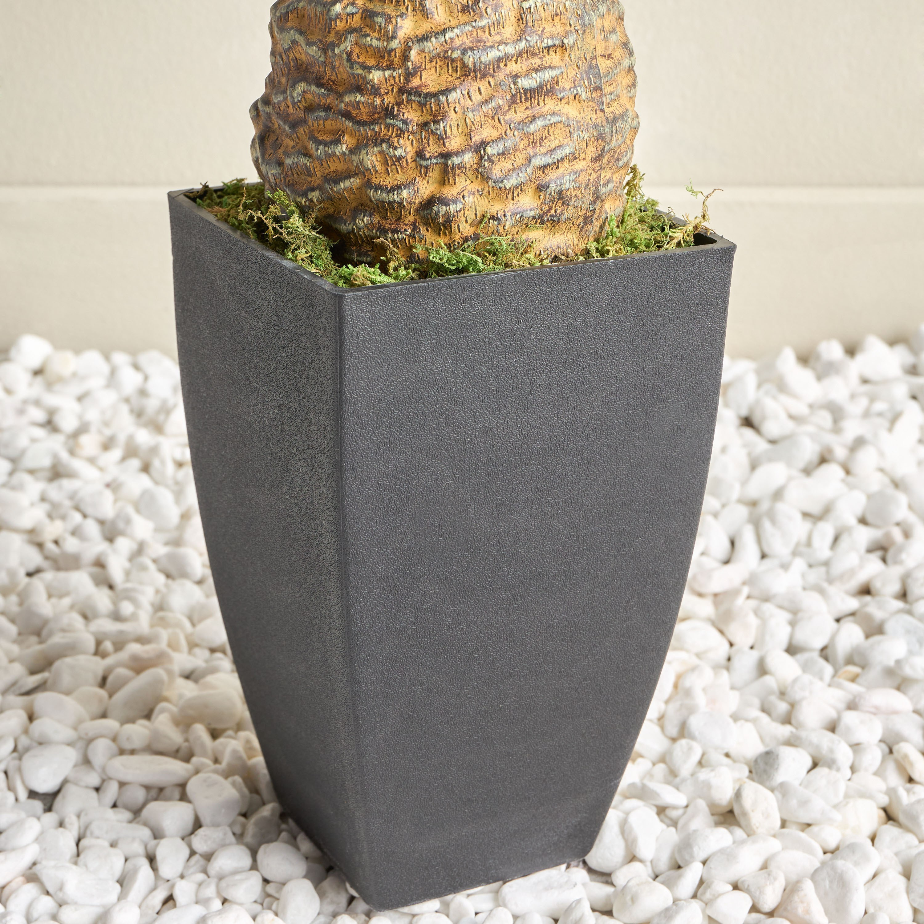 Cycus Tree - 78 cm-household-gardenandoutdoor-trees-image-3