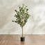 شجرة أوكالبتوس - 120 سم-PROMO_HC_SA_TESTBINPROMO_080926-image-4