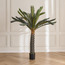 شجرة سيكاس في وعاء - 170 سم-household-gardenandoutdoor-trees-image-4