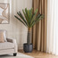 شجرة سيكاس في وعاء - 170 سم-household-gardenandoutdoor-trees-image-1