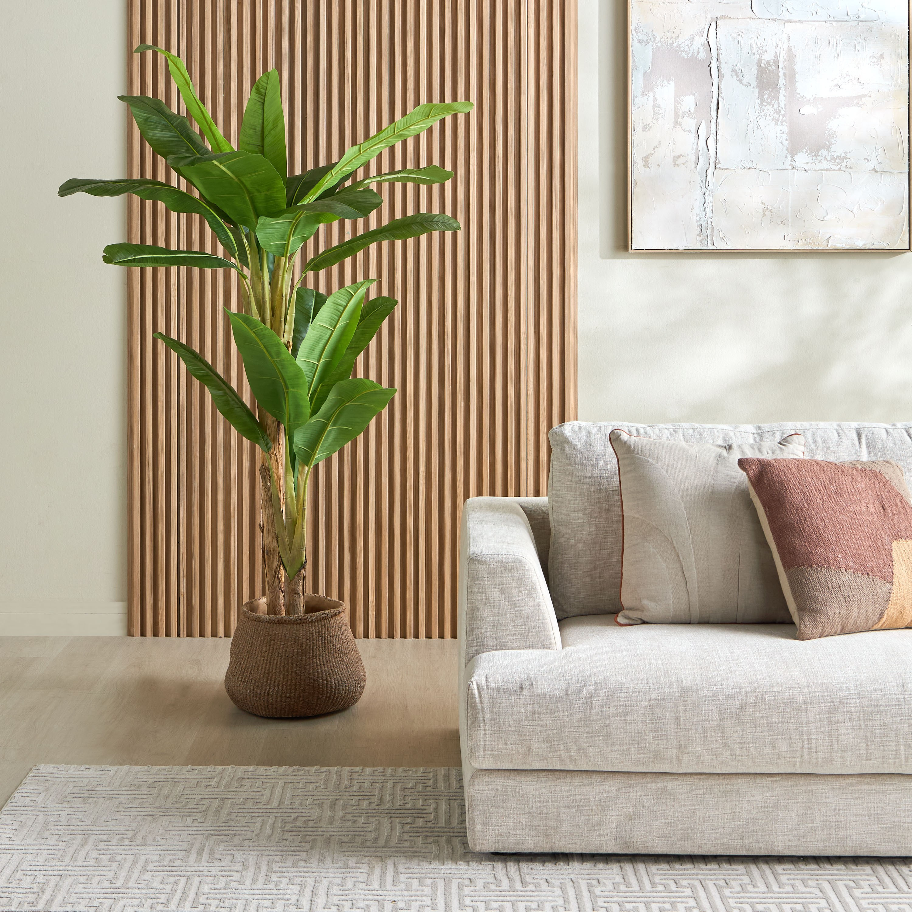 Double Banana Tree - 180 cm-household-gardenandoutdoor-trees-image-4