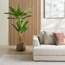 شجرة موز مزدوجة - ‎180 سم‎-PROMO_HC_SA_TESTBINPROMO_080926-image-1