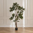 Ruscus Tree - 180 cm-household-gardenandoutdoor-trees-image-1