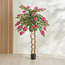 شجرة متسلقة بوجنفيليا - ‎160 سم‎-household-gardenandoutdoor-trees-image-4