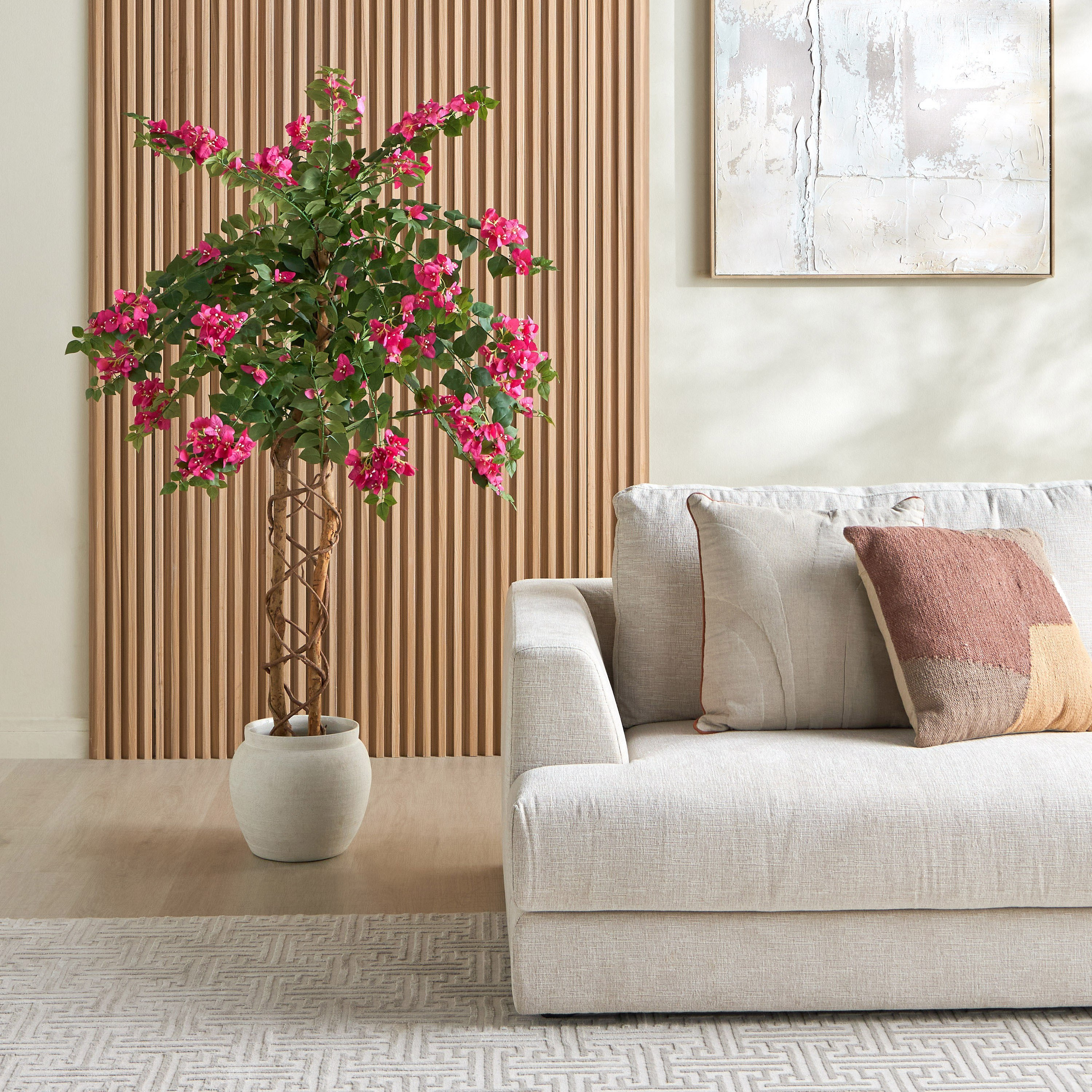 Bougainvillea Climbing Tree - 160 cm-household-gardenandoutdoor-trees-image-4