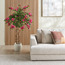 شجرة متسلقة بوجنفيليا - ‎160 سم‎-household-gardenandoutdoor-trees-image-1