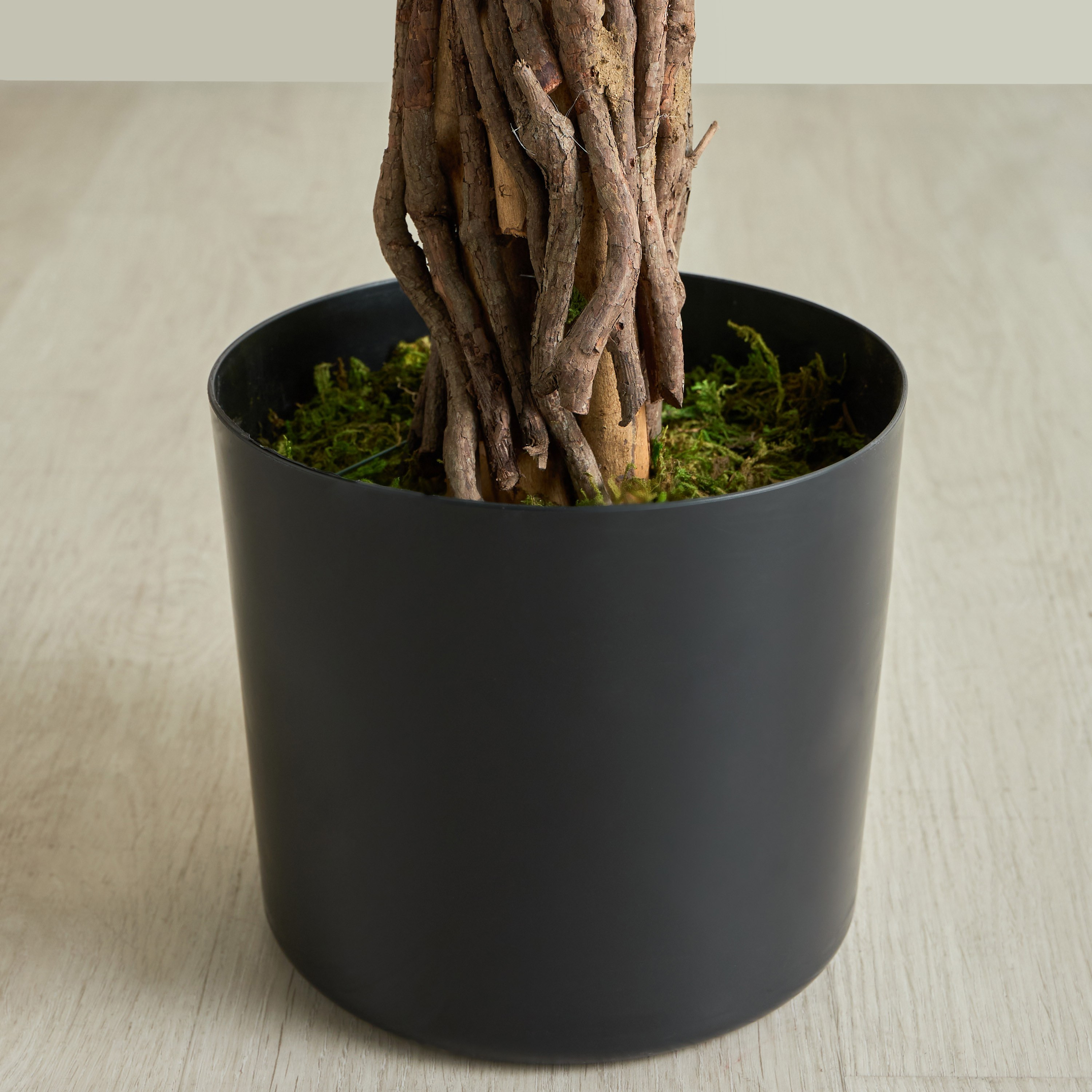 Ficus Vine Tree - 210 cm-household-gardenandoutdoor-trees-image-3