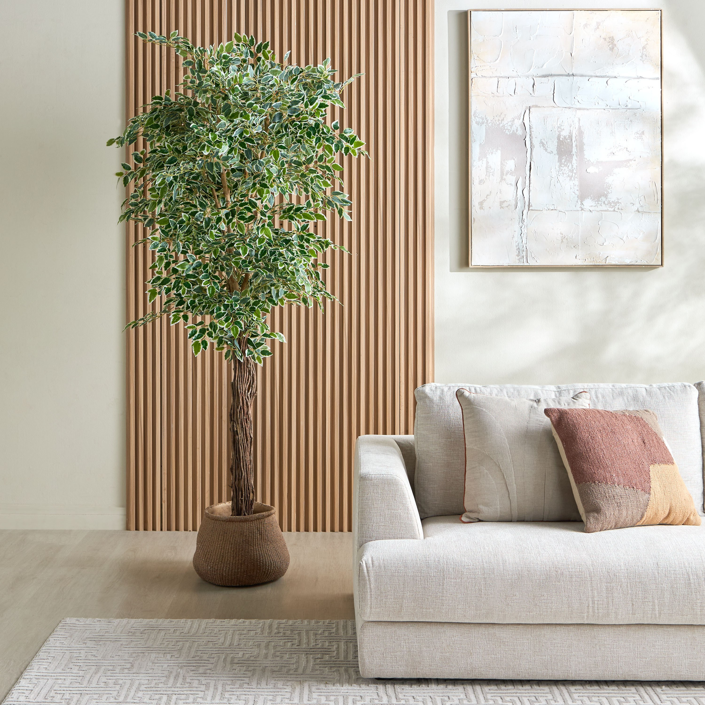 Ficus Vine Tree - 210 cm-household-gardenandoutdoor-trees-image-4